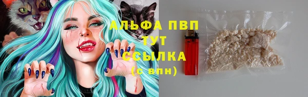 дурь Болотное