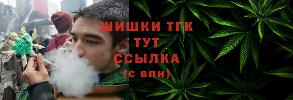 дурь Болотное