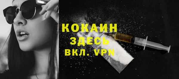 дурь Болотное