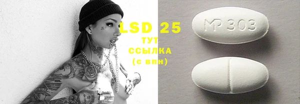 дурь Болотное