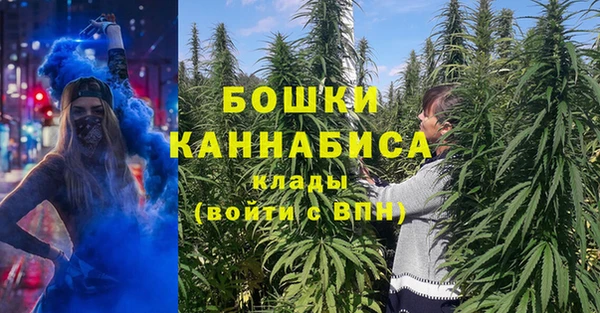 дурь Болотное