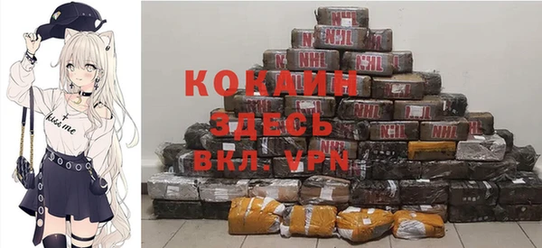 дурь Болотное
