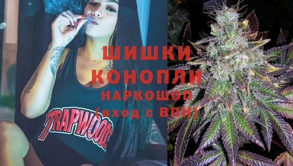 дурь Болотное