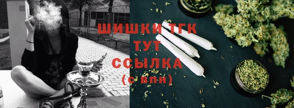 дурь Болотное