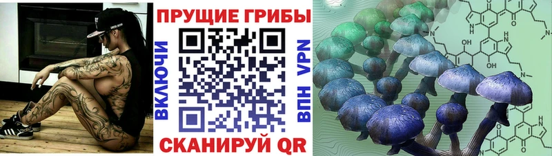 Галлюциногенные грибы прущие грибы  Гурьевск 