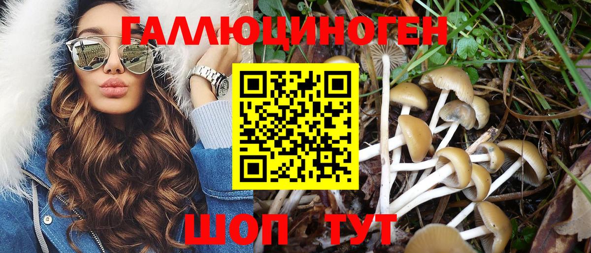 Псилоцибиновые грибы Cubensis  Гурьевск 